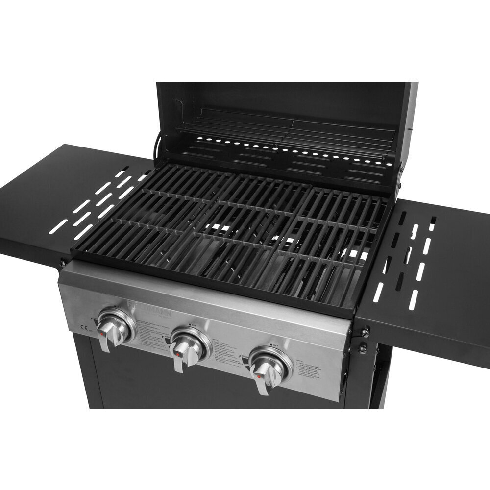 Gaasigrill Fieldmann FZG 3003, 49,5x36 cm hind ja info | Grillid | kaup24.ee