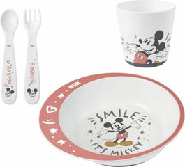 NUK Dinnerware Set Nuk Mickey Mouse цена и информация | Детская посуда, контейнеры для молока и еды | kaup24.ee