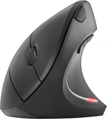 Nilox Wireless Mouse Nilox NXMOWI3003 Black 3200 DPI hind ja info | Hiired | kaup24.ee