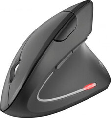 Nilox Wireless Mouse Nilox NXMOWI3003 Black 3200 DPI цена и информация | Мыши | kaup24.ee