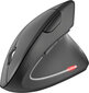 Nilox Wireless Mouse Nilox NXMOWI3003 Black 3200 DPI hind ja info | Hiired | kaup24.ee