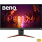 BenQ EX240N MOBIUZ, 23.8", VA, 165Hz, 1ms цена и информация | Monitorid | kaup24.ee