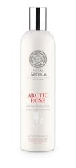 Taastav šampoon Natura Siberica Copenhagen 400 ml цена и информация | Шампуни | kaup24.ee