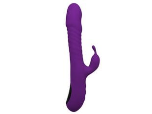 Vibe soojusfunktsiooniga Romax Purple hind ja info | BDSM ja fetish | kaup24.ee