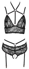 Bra Set black S цена и информация | Сексуальное женское белье | kaup24.ee