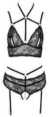 Bra Set black L цена и информация | Сексуальное женское белье | kaup24.ee