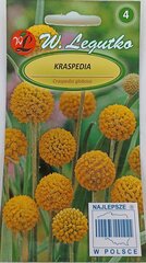 Краспедия шаровидная цена и информация | Семена цветов | kaup24.ee