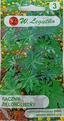 Riitsinus, roheline цена и информация | Семена цветов | kaup24.ee