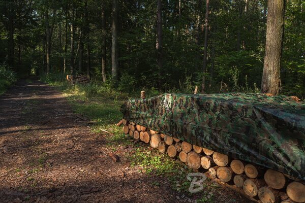 Kamuflaaž välipresent kate Bradas CAMOforest 6x8 m, 90 g/m² hind ja info | Aiatööriistad | kaup24.ee