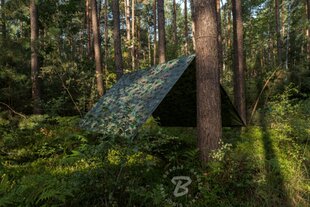 Kamuflaaž välipresent kate Bradas CAMOforest 6x8 m, 90 g/m² hind ja info | Aiatööriistad | kaup24.ee