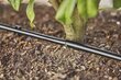 Tilkkastmissüsteem põõsastele/hekkidele Gardena Micro-Drip-Irrigation, 25 m цена и информация | Kastekannud, voolikud, niisutus | kaup24.ee