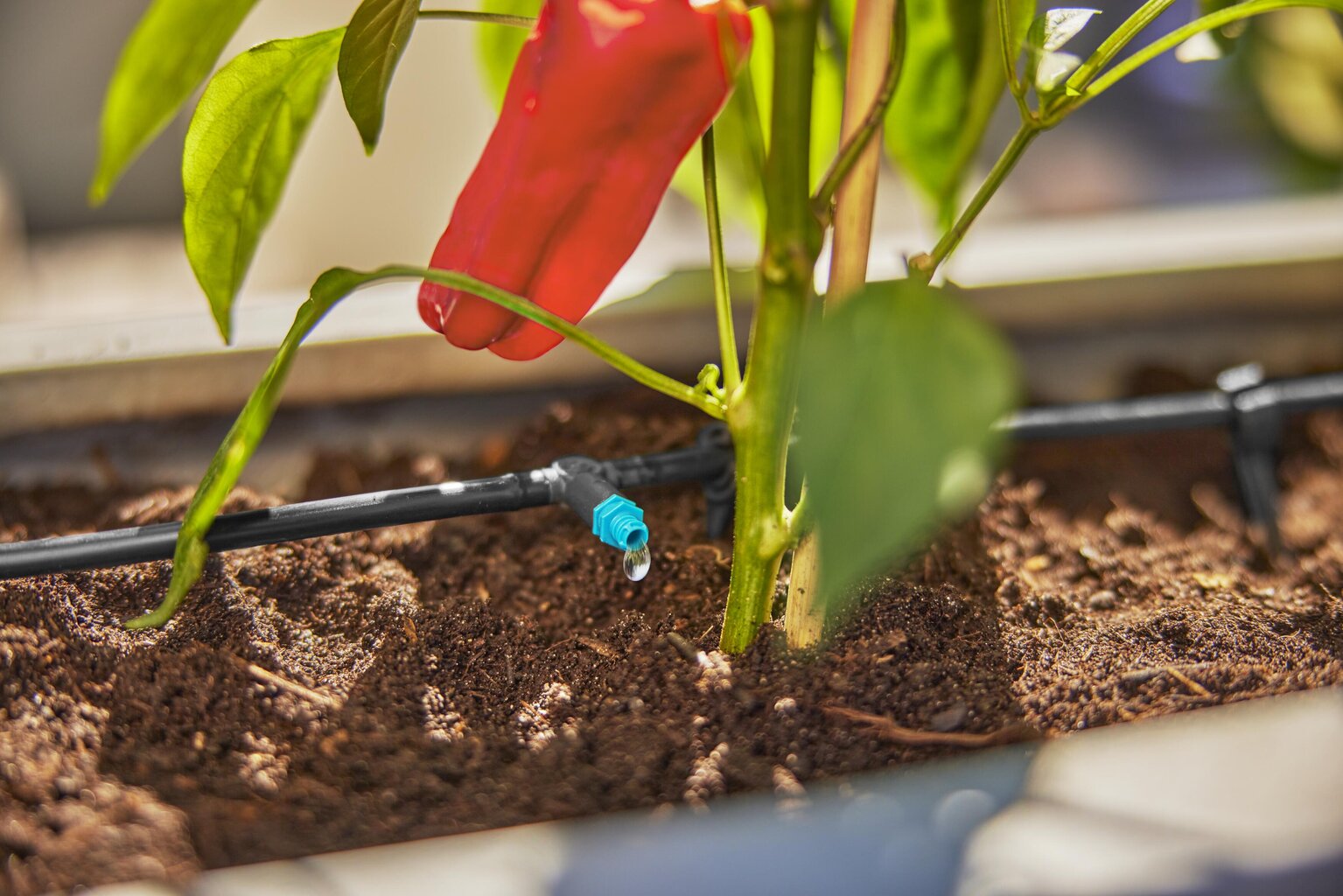 Tilkniisutussüsteem kuni 30 taimele Gardena Micro-Drip-System hind ja info | Kastekannud, voolikud, niisutus | kaup24.ee