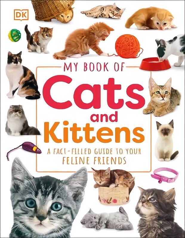 My Book of Cats and Kittens: A Fact-Filled Guide to Your Feline Friends цена и информация | Noortekirjandus | kaup24.ee