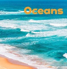 Oceans hind ja info | Noortekirjandus | kaup24.ee