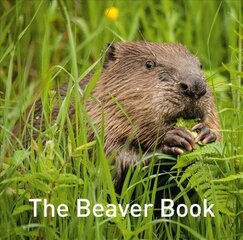 Beaver Book hind ja info | Tervislik eluviis ja toitumine | kaup24.ee