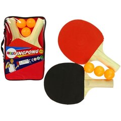 Wooden Ping Pong Sticks 3 Balls Cover hind ja info | Poiste mänguasjad | kaup24.ee