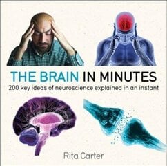 The Brain in Minutes цена и информация | Книги по экономике | kaup24.ee