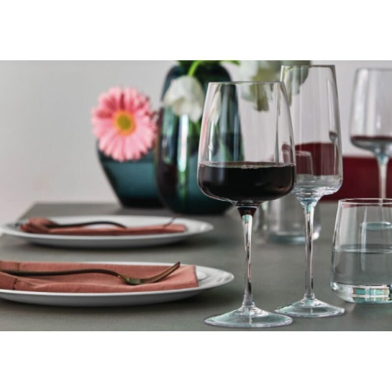 Planeo Rosso punase veini klaasid 54 cl, kinkekarbis 4 tk hind ja info | Klaasid, tassid ja kannud | kaup24.ee