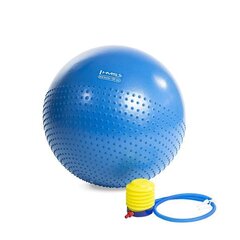 Võimlemispall pumbaga HMS YB03 55 cm, sinine цена и информация | Гимнастические мячи | kaup24.ee