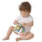 Rippuv mänguasjavihik Playgro Päev talus, 0186967 цена и информация | Imikute mänguasjad | kaup24.ee