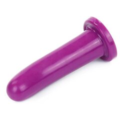 Stimulaator Holy Dong 6 Liquid Silicone Purple hind ja info | Anaallelud | kaup24.ee