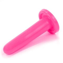 Stimulaator Holy Dong 4.5 Liquid Silicone Pink hind ja info | Anaallelud | kaup24.ee