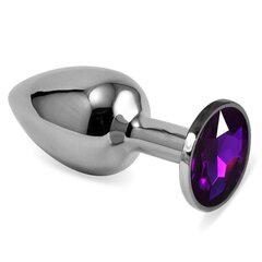 Butt Plug Silver Rosebud Classic koos lilla juveeliga Suurus S hind ja info | Anaallelud | kaup24.ee