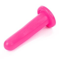 Stimulaator Holy Dong 5.5 Liquid Silicone Pink hind ja info | Anaallelud | kaup24.ee