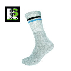 Спортивные носки Bisoks 11022 l.grey/2 stripes black/light blue цена и информация | Meeste sokid | kaup24.ee
