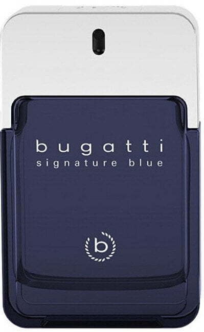 Parfüümvesi Bugatti Signature Blue, 100 ml hind ja info | Meeste parfüümid | kaup24.ee