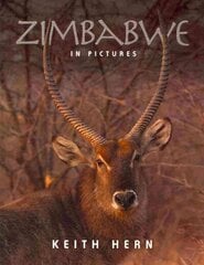 Zimbabwe in Pictures цена и информация | Путеводители, путешествия | kaup24.ee