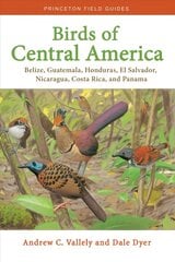 Birds of Central America: Belize, Guatemala, Honduras, El Salvador, Nicaragua, Costa Rica, and Panama hind ja info | Entsüklopeediad, teatmeteosed | kaup24.ee