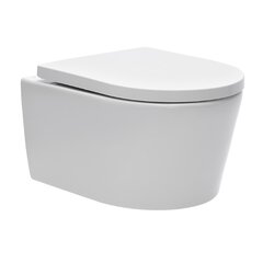 Peidetud WC-pott Swiss Aqua Technologies Brevis цена и информация | Унитазы | kaup24.ee