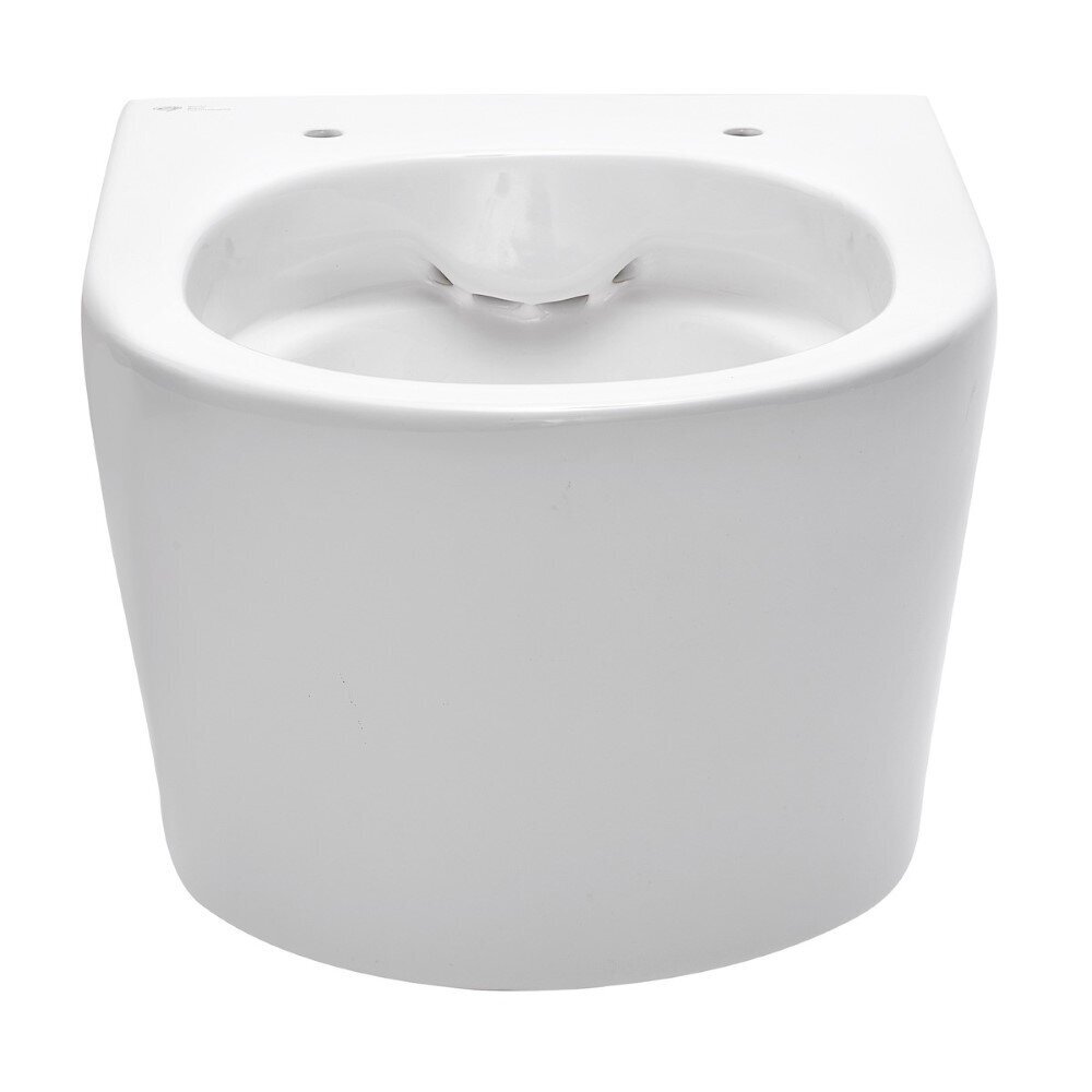 Peidetud WC-pott Swiss Aqua Technologies Brevis hind ja info | WС-potid | kaup24.ee