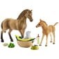 Nukukomplekt "Hobused ja kutsikas" Schleich Horse Club hind ja info | Poiste mänguasjad | kaup24.ee