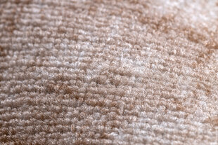 Rugsx ковровая дорожка Solid, 150x370 см цена и информация | Ковры | kaup24.ee