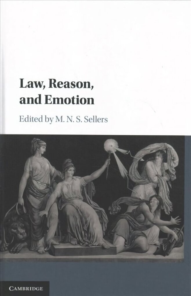 Law, Reason, and Emotion цена и информация | Majandusalased raamatud | kaup24.ee
