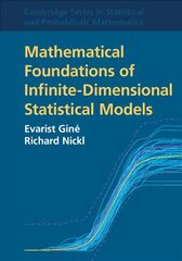 Mathematical Foundations of Infinite-Dimensional Statistical Models Revised edition цена и информация | Книги по экономике | kaup24.ee