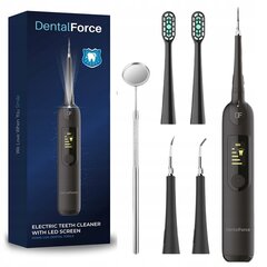 Sonic hambahari + hambaskaler, DentalForce цена и информация | Электрические зубные щетки | kaup24.ee