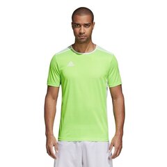 Poiste särk Adidas Entrada, roheline цена и информация | Рубашки для мальчиков | kaup24.ee