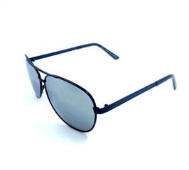 Polariseeritud läätsedega meeste päikeseprillid цена и информация | Солнцезащитные очки для мужчин | kaup24.ee
