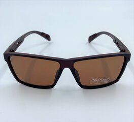 Стильные солнцезащитные очки цена и информация | Солнцезащитные очки для мужчин | kaup24.ee