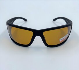 Päikeseprillid цена и информация | Солнцезащитные очки для мужчин | kaup24.ee