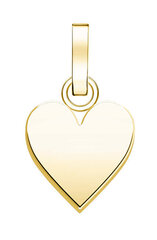 Rosefield Романтическая позолоченная подвеска в форме сердца The Pendant PE-Gold-Heart цена и информация | Украшения на шею | kaup24.ee