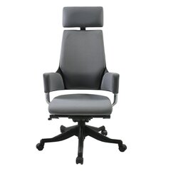 Офисное кресло Delphi, серое цена и информация | Офисные кресла | kaup24.ee