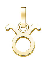 Rosefield Позолоченный кулон Bull The Pendant PE-Gold-Taurus-S цена и информация | Украшение на шею | kaup24.ee