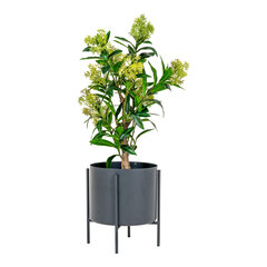 House Nordic искусственное растение Photinia цена и информация | Детали интерьера | kaup24.ee