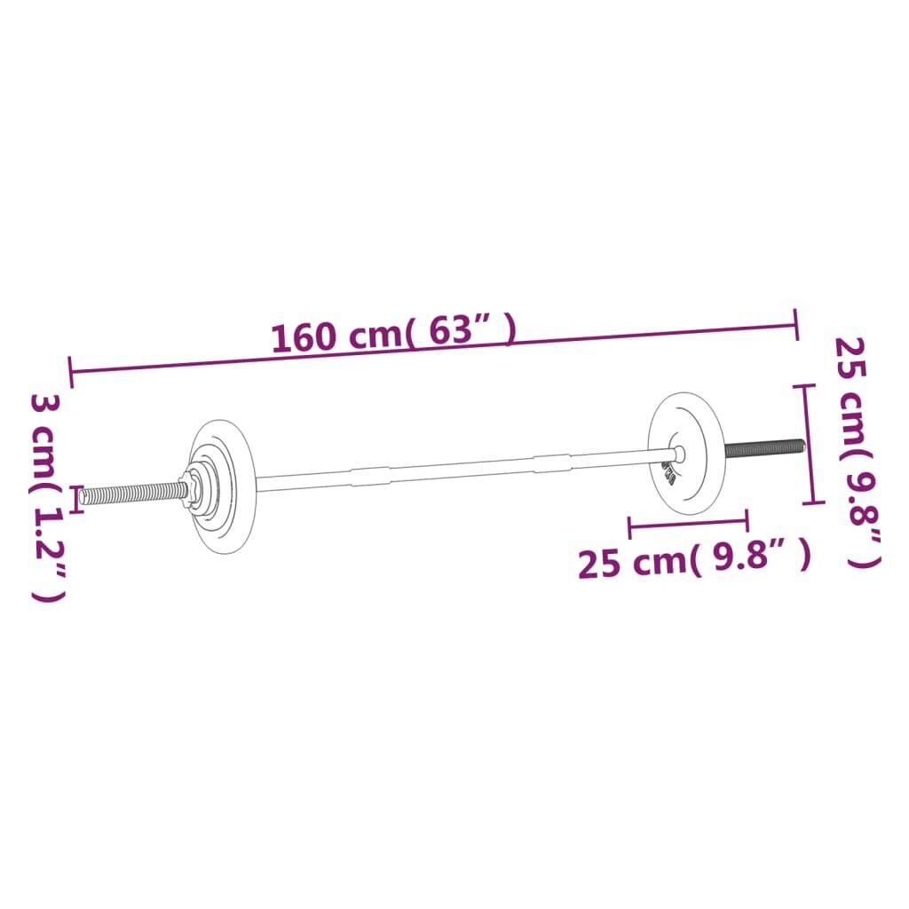 vidaXL raskuskang ketastega, 30 kg malm hind ja info | Hantlid, kangid, raskused | kaup24.ee