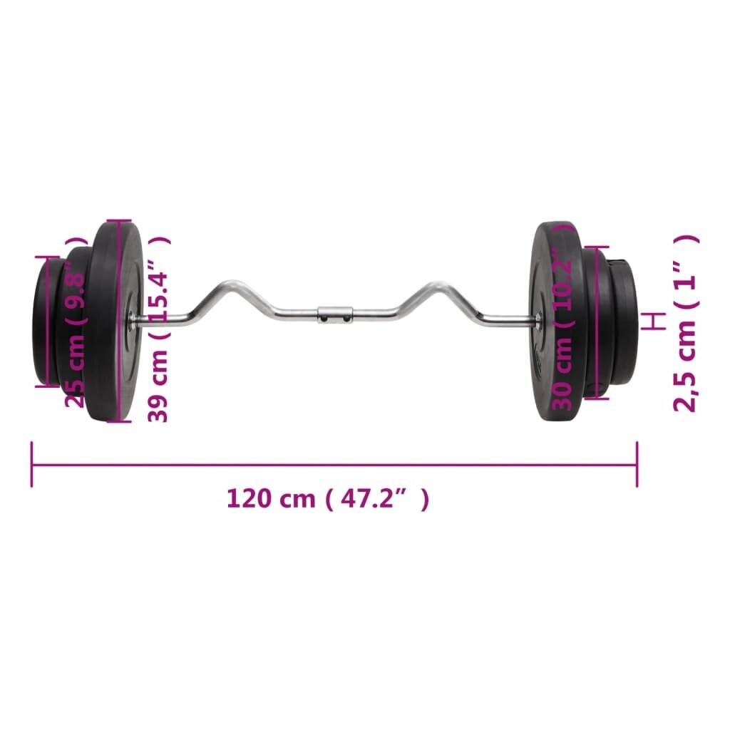 vidaXL painutatud raskuskang ketastega, 60 kg hind ja info | Hantlid, kangid, raskused | kaup24.ee