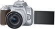 Canon EOS 250D + 18-55mm IS STM Kit, hõbedane цена и информация | Fotoaparaadid | kaup24.ee